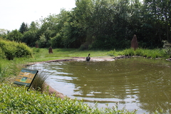 Killikus&reg; Fotographie