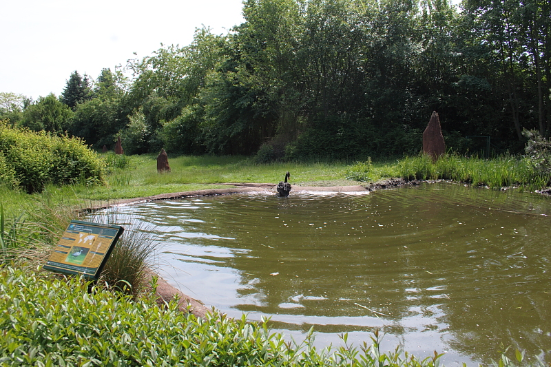 Killikus® Fotographie Killikus® Fotographie