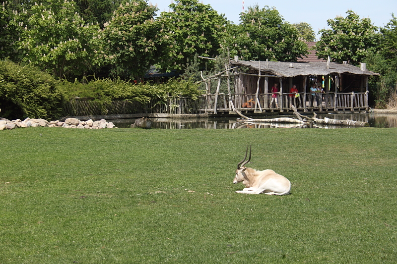 Killikus® Fotographie Killikus® Fotographie