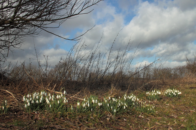 Killikus&reg; Fotographie