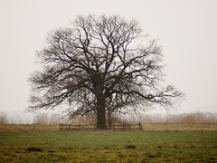 Killikus&reg; Fotographie