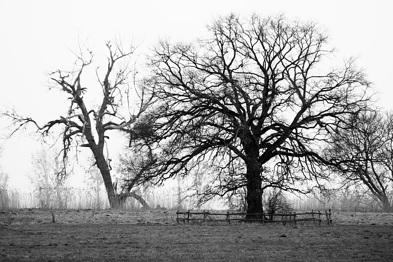 Killikus® Fotographie Killikus® Fotographie