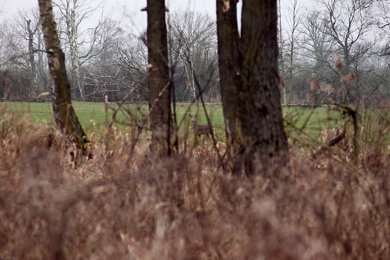 Killikus&reg; Fotographie