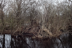 Killikus&reg; Fotographie