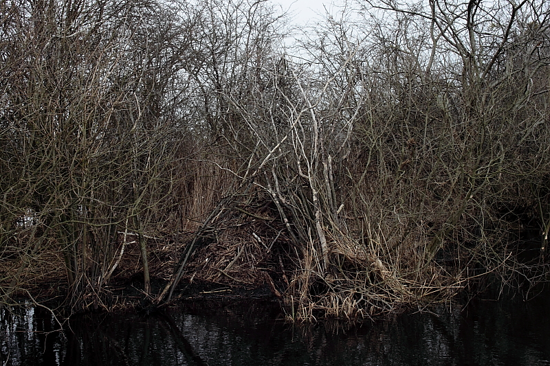 Killikus&reg; Fotographie