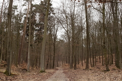 Killikus&reg; Fotographie