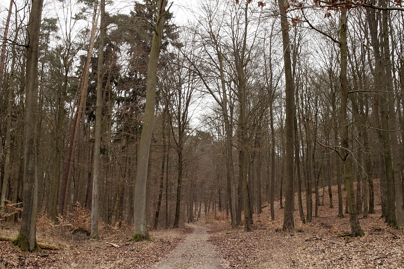 Killikus&reg; Fotographie