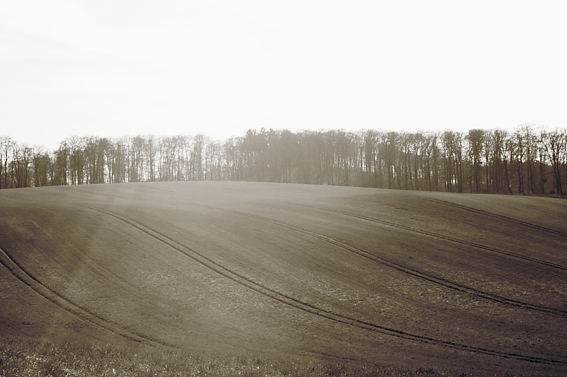 Killikus® Fotographie Killikus® Fotographie