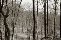 Killikus&reg; Fotographie