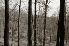 Killikus&reg; Fotographie