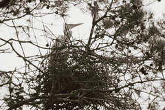 Killikus&reg; Fotographie