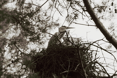 Killikus&reg; Fotographie