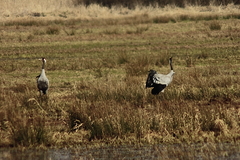 Killikus&reg; Fotographie