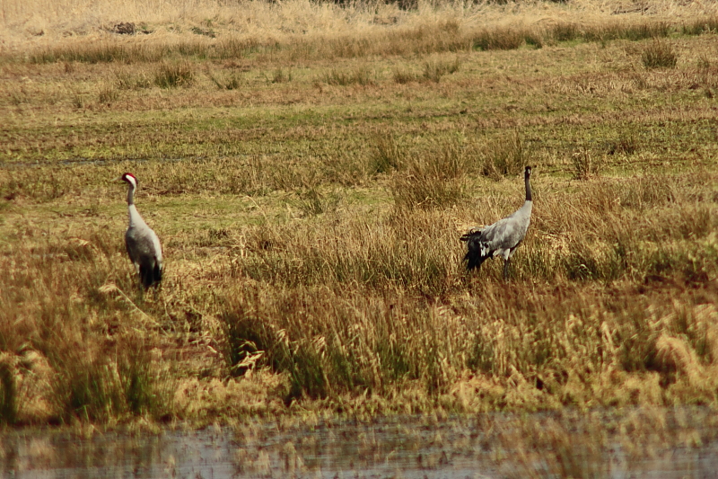 Killikus&reg; Fotographie