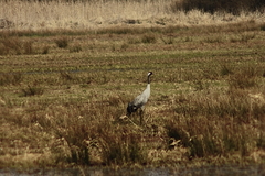 Killikus&reg; Fotographie