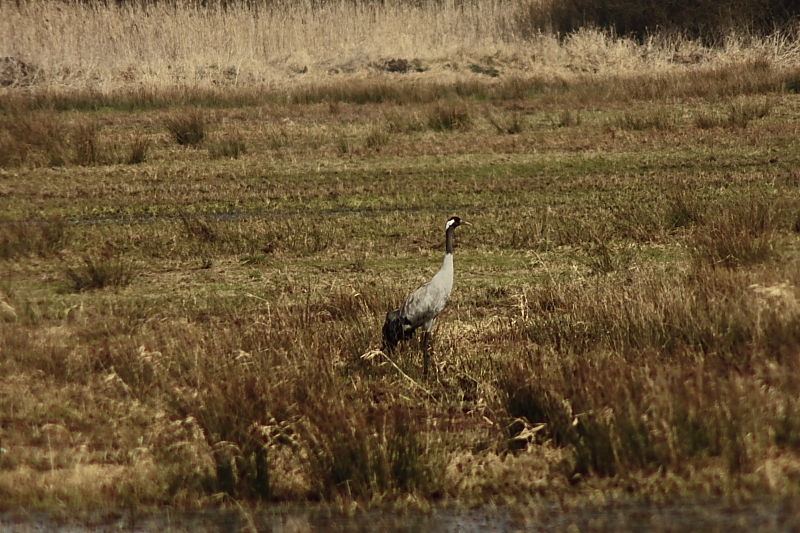 Killikus&reg; Fotographie