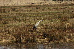 Killikus&reg; Fotographie