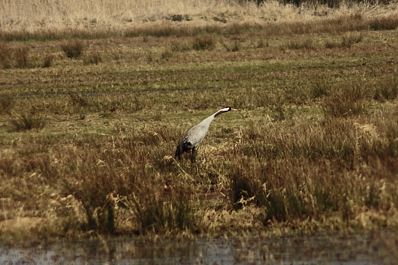 Killikus&reg; Fotographie