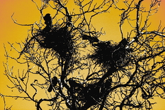 Killikus&reg; Fotographie