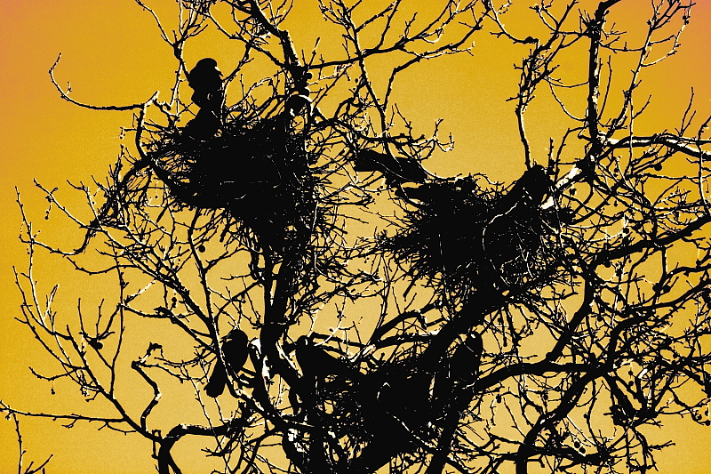 Killikus&reg; Fotographie