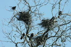 Killikus&reg; Fotographie