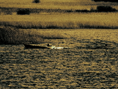 Killikus&reg; Fotographie