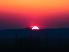 Killikus&reg; Fotographie