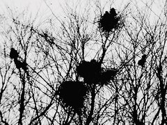 Killikus&reg; Fotographie