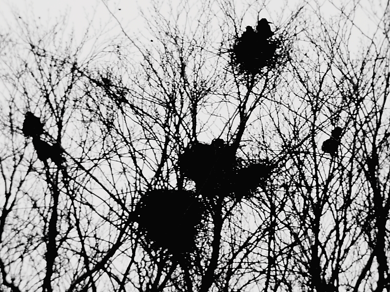 Killikus&reg; Fotographie