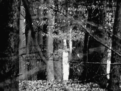 Killikus&reg; Fotographie