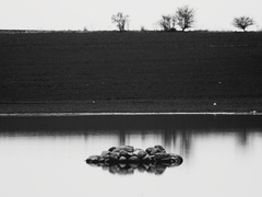 Killikus&reg; Fotographie