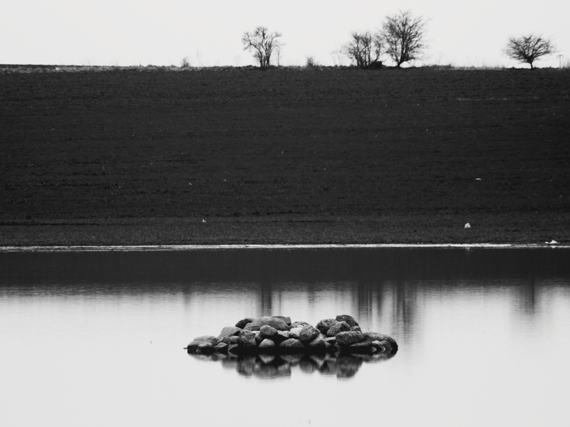 Killikus® Fotographie Killikus® Fotographie