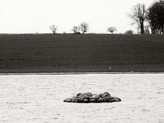 Killikus&reg; Fotographie