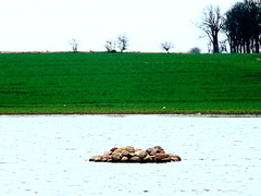 Killikus&reg; Fotographie