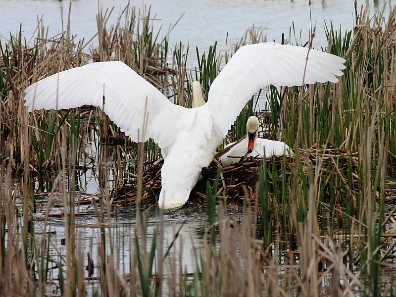 Killikus&reg; Fotographie