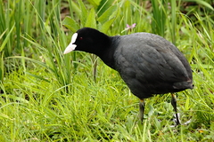 Killikus&reg; Fotographie