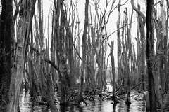 Killikus&reg; Fotographie