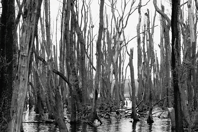 Killikus&reg; Fotographie