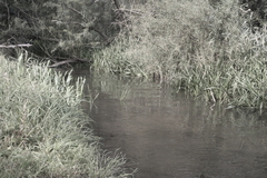 Killikus&reg; Fotographie