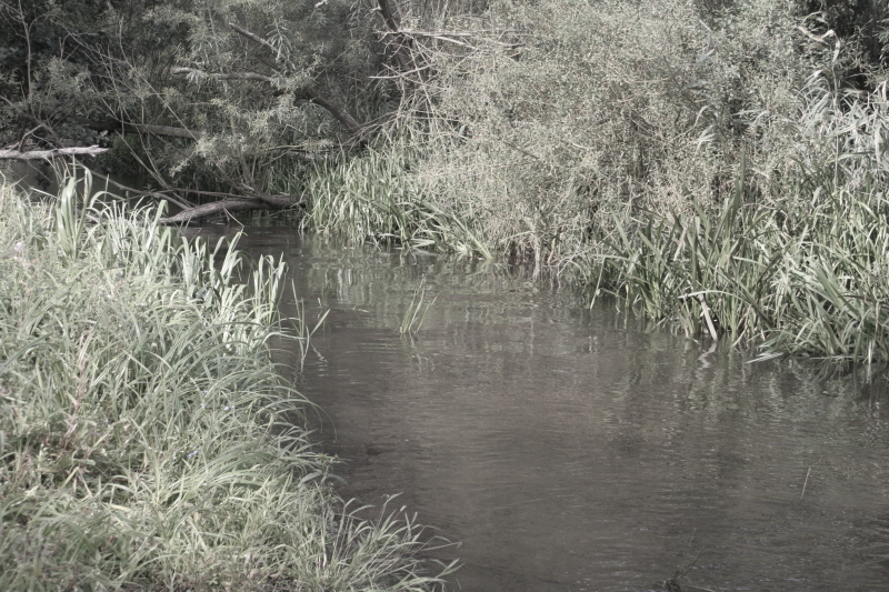 Killikus&reg; Fotographie