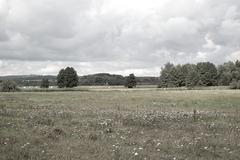 Killikus&reg; Fotographie