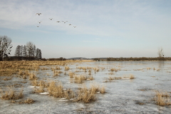 Killikus&reg; Fotographie