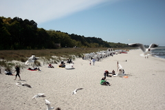 Killikus&reg; Fotographie