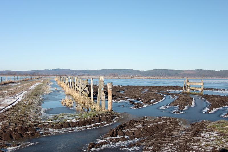 Killikus® Fotographie Killikus® Fotographie