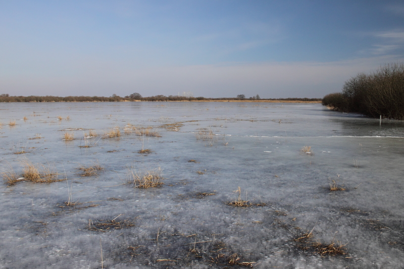 Killikus® Fotographie Killikus® Fotographie