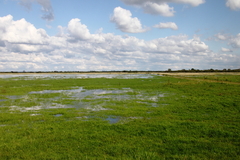 Killikus&reg; Fotographie