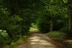 Killikus&reg; Fotographie