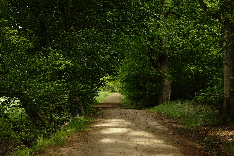 Killikus&reg; Fotographie