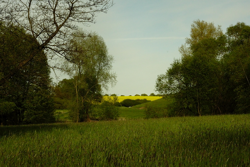 Killikus® Fotographie Killikus® Fotographie