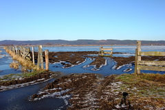 Killikus&reg; Fotographie